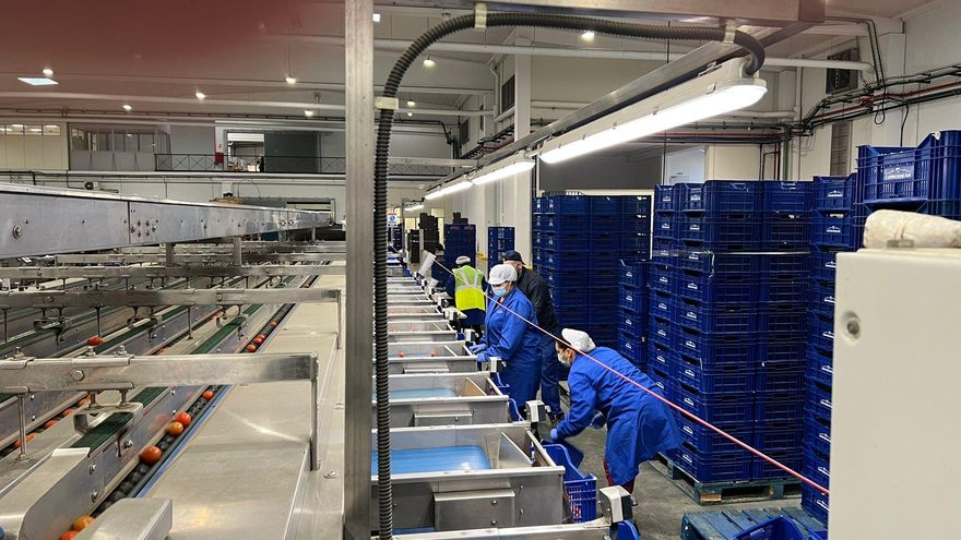 La creación de empresas ha crecido en más de un 30% en Castilla-La Mancha con un capital de más de 95 millones de euros