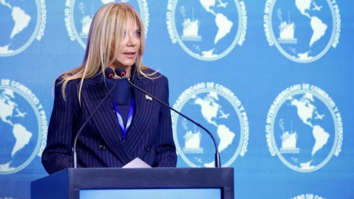 Bettina Bulgheroni en la OEA.
