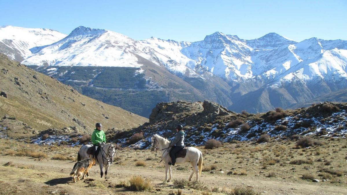 A lomos de Sierra Nevada: una ruta ecuestre entre cumbres, desiertos y playas