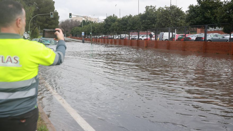 El Ayuntamiento de Sevilla contabiliza más de 200 incidencias por la borrasca