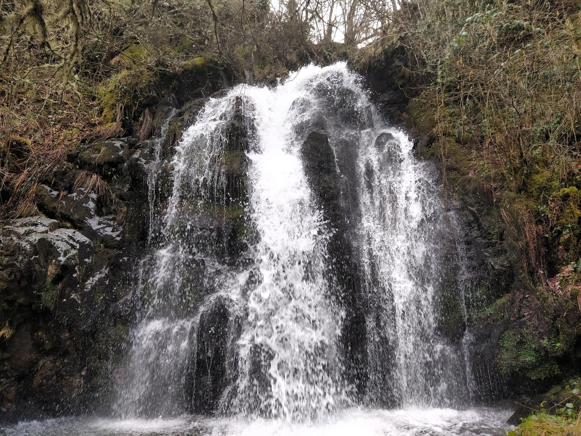 Fervencia de Foncebadón.