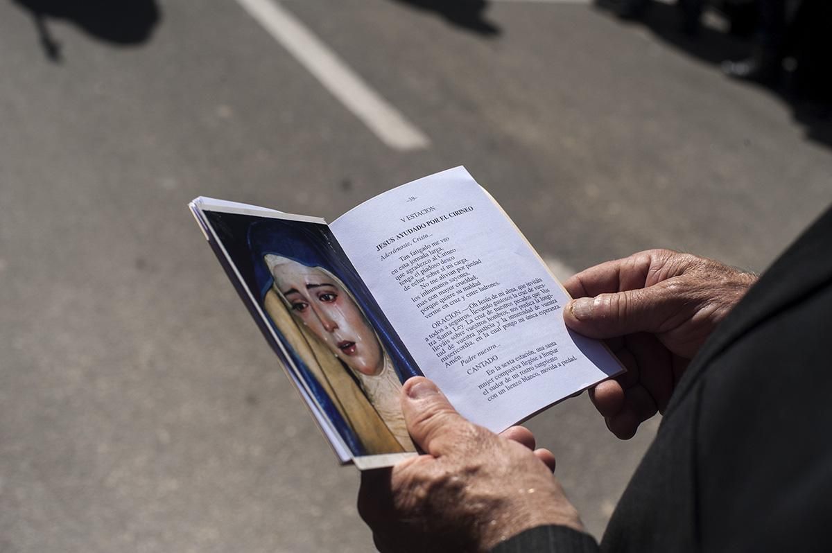 Los Picaos de San Vicente de la Sonsierra