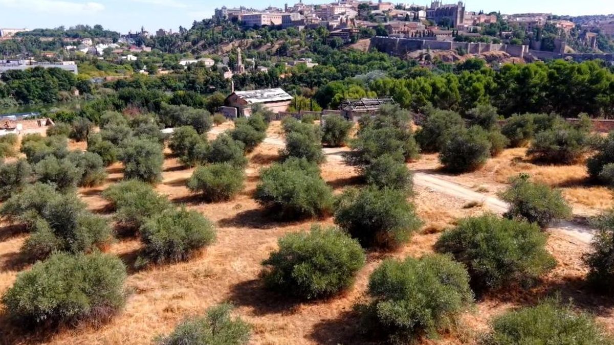 Una ‘Ciudad de Cine’ para Toledo a orillas del Tajo que no convence a los vecinos: "Ha sido un chimpún, sin alegaciones"