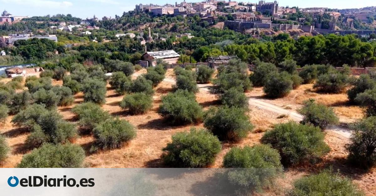 Una ‘Ciudad de Cine’ para Toledo a orillas del Tajo que no convence a los vecinos: “Ha sido un chimpún, sin alegaciones”