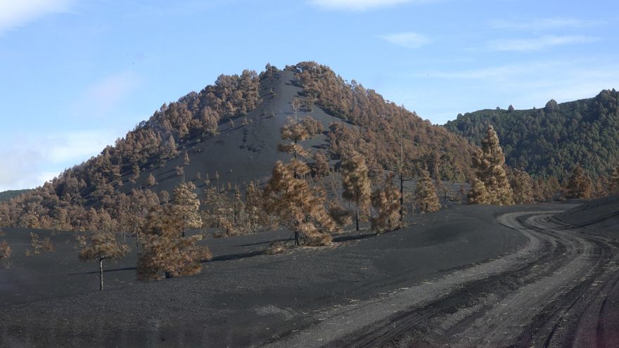 Área cubierta de ceniza en Cabeza de Vaca.