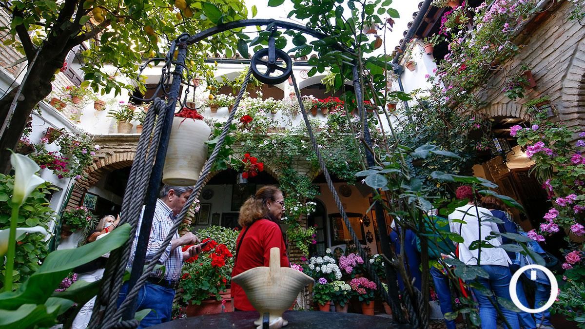 Patio Parras 6 - 2022