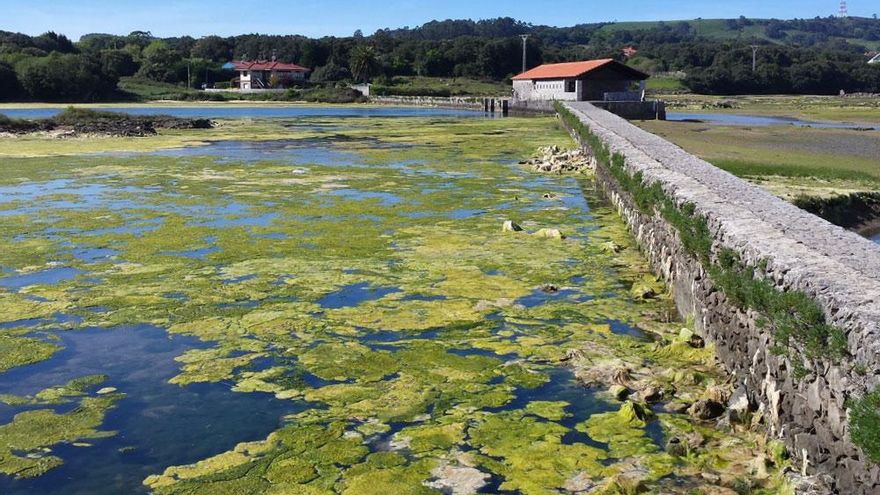 El parque natural de Cantabria que cuenta con el conjunto de humedales más importante del norte
