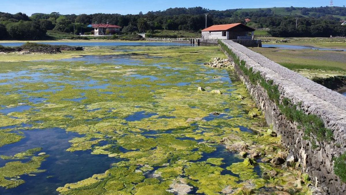 El parque natural de Cantabria que cuenta con el conjunto de humedales más importante del norte