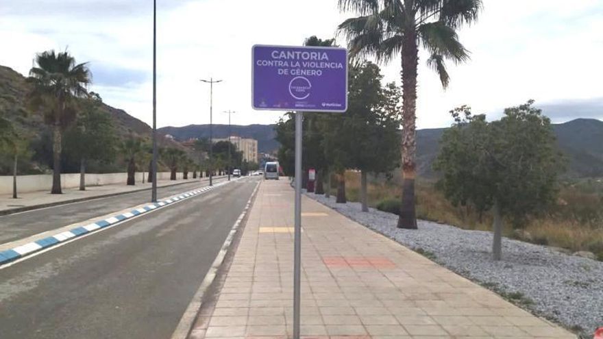 Militantes de Vox arrancan una señal contra la violencia de género en Almería
