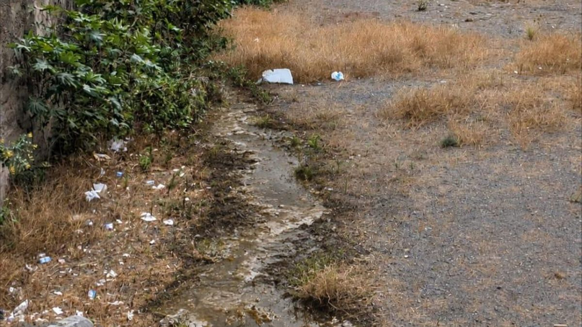 Vertido de aguas residuales en el barranco de Las Nieves de Santa Cruz de La Palma