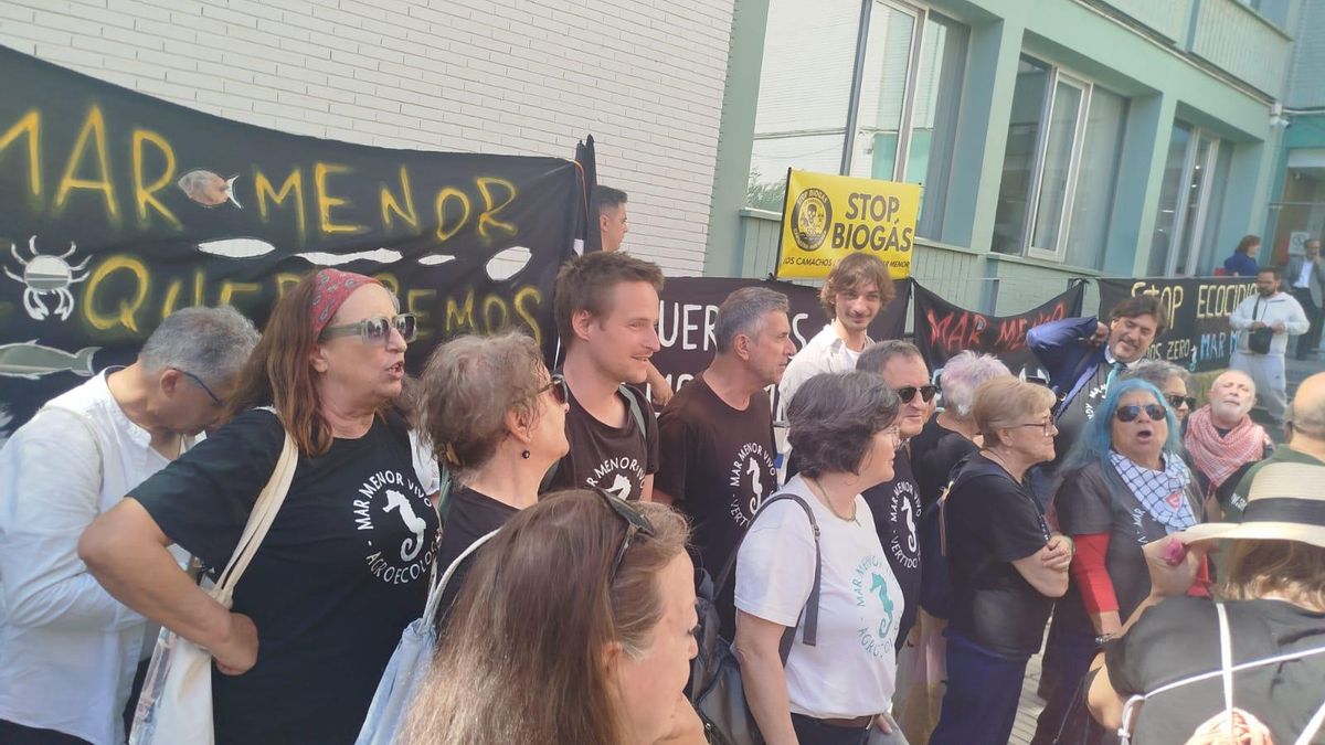 Activistas por el Mar Menor, esta mañana, a las puertas de la Audiencia en Cartagena