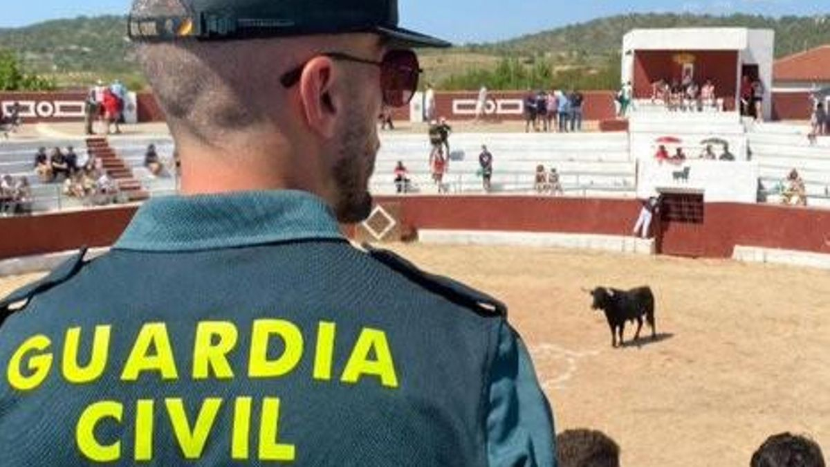 Dos investigados en Albacete por falsificar certificados de limpieza en transporte de animales para espectáculos taurinos