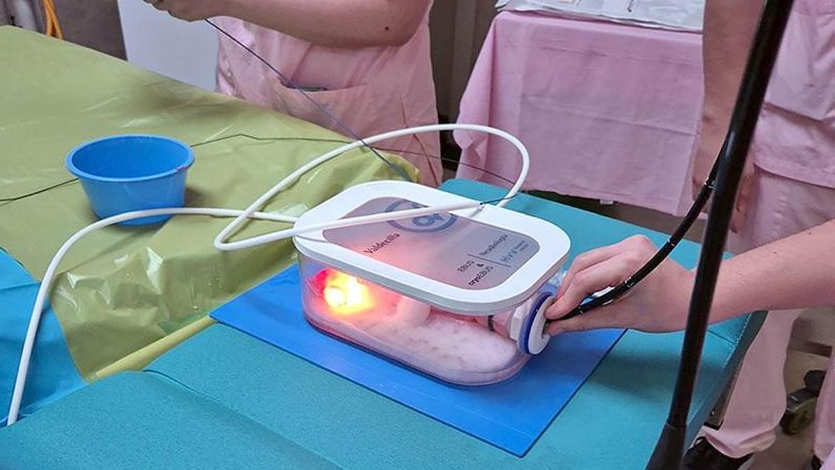 Valdecilla diseña un simulador neumológico para mejorar los diagnósticos en cáncer de pulmón, sarcoidosis o linfomas