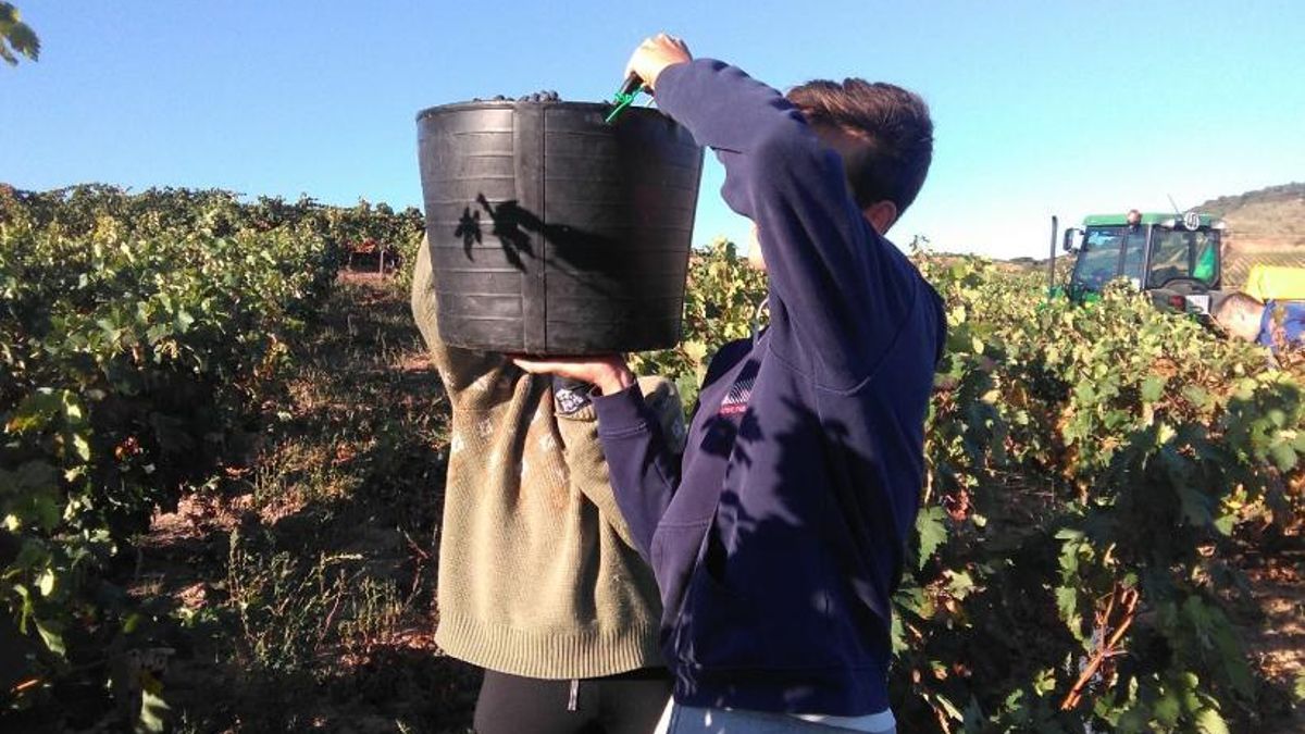 El paro se mantiene estable en La Rioja, con 18 parados más en agosto