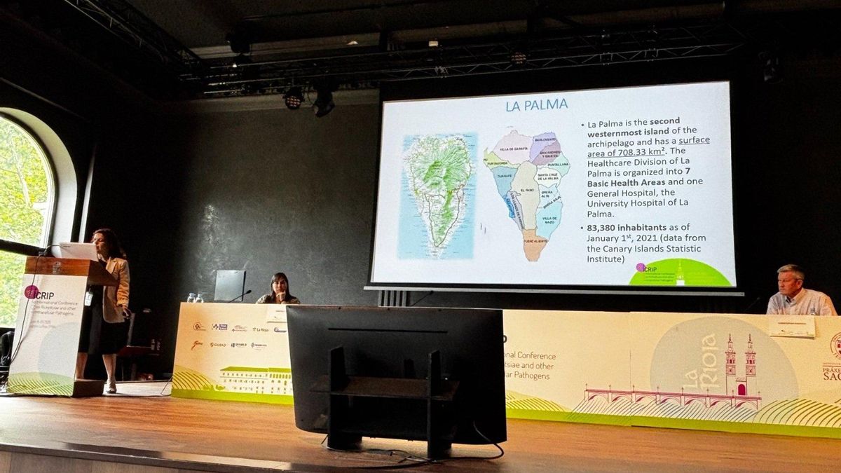 Un estudio sitúa al tifus murino como la causa más frecuente de fiebre indiferenciada en La Palma y El Hierro