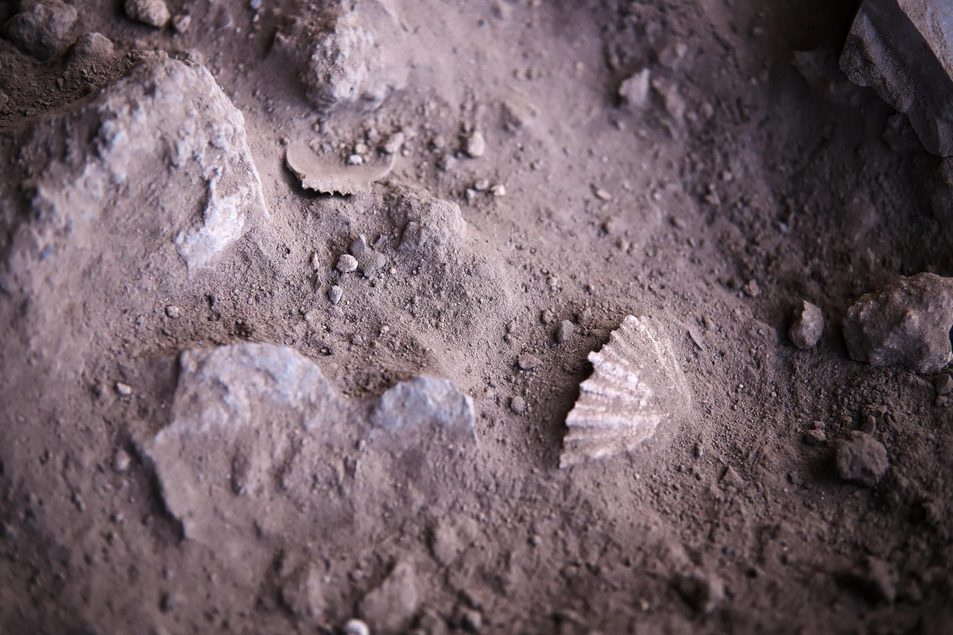 Excavación llevada  a cabo en el marco de la octava edición del Campus de Arqueología de Tijarafe desarrollada en el Barranco de Los Gomeros.