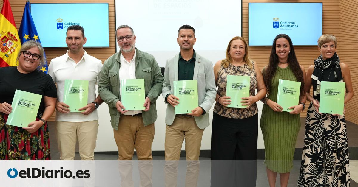Educación pone en marcha un proyecto pionero para naturalizar los centros escolares canarios