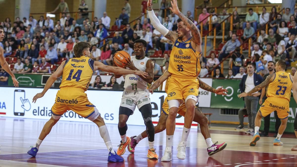 Cajasol Coto Córdoba - Cajasiete Gran Canaria