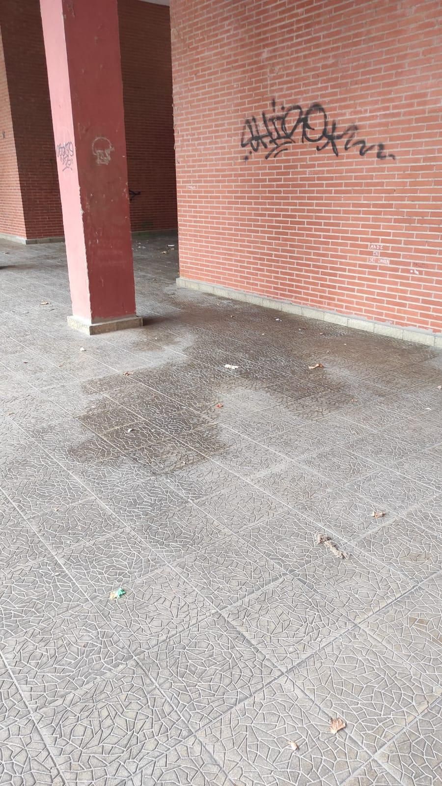 Orines en Avda. Constitución