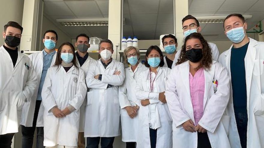 La segunda piel de los quemados: científicos granadinos diseñan un tejido artificial capaz de crear sus propios vasos sanguíneos