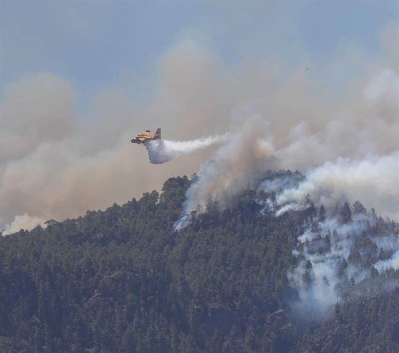 Persisten focos activos del incendio de Gran Canaria, como el que quema el pinar de Tamadaba.EFE/ Elvira Urquijo A.