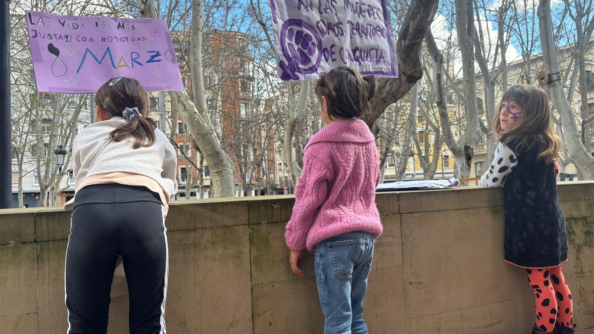 La manifestación de 8M en Logroño, en imágenes