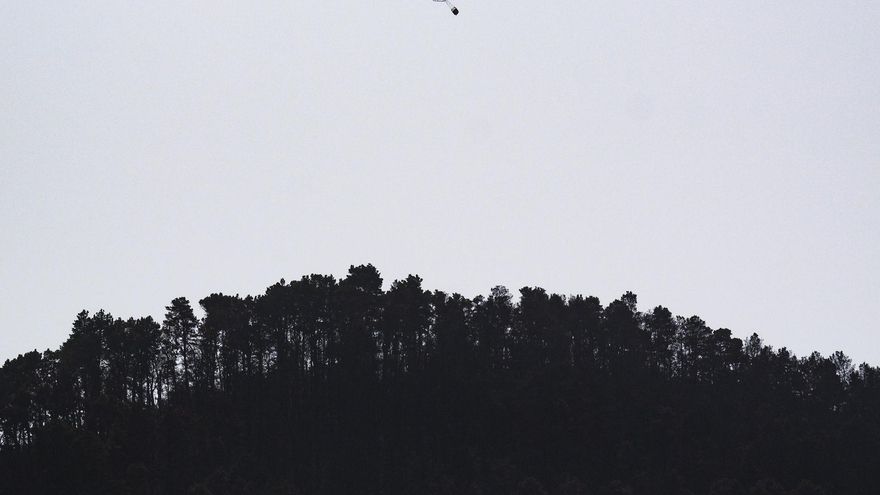 Proteger el suelo afectado por el incendio ante las precipitaciones, una de la prioridades en Tenerife