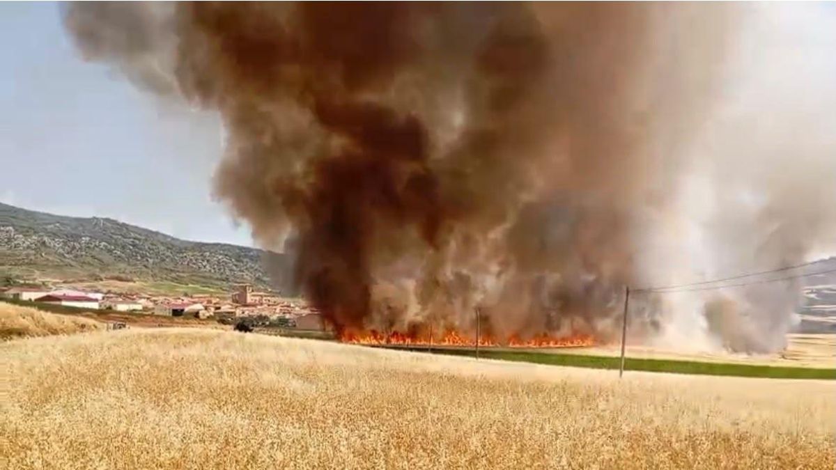 Medios aéreos y terrestres trabajan en la extinción de un incendio en Foncea