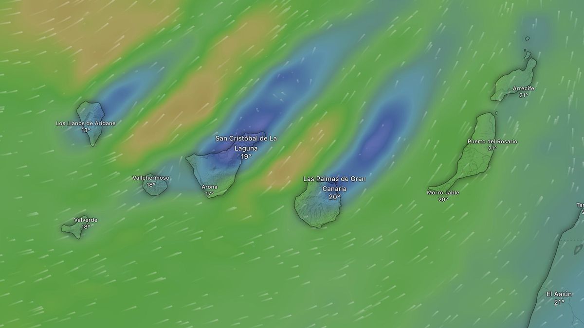 Viento previsto este sábado en Canarias, según el modelo europeo. Los colores verdosos indican viento de más de 10 nudos, y los amarillos, más de 20 nudos.