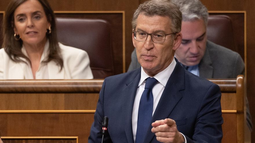 El líder del Partido Popular, Alberto Núñez Feijóo, interviene durante una sesión de control, en el Congreso de los Diputados, a 10 de abril de 2024, en Madrid (España).