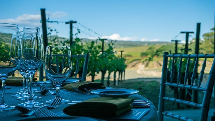 Viñedos abiertos al turismo