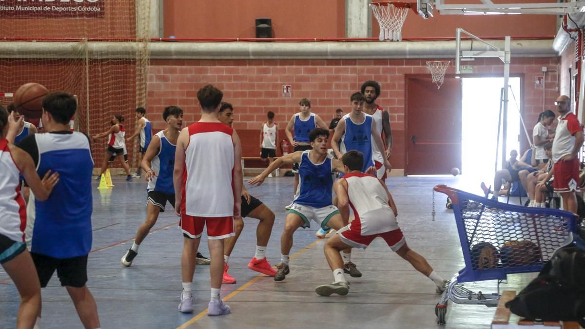 Alley Oop Academy