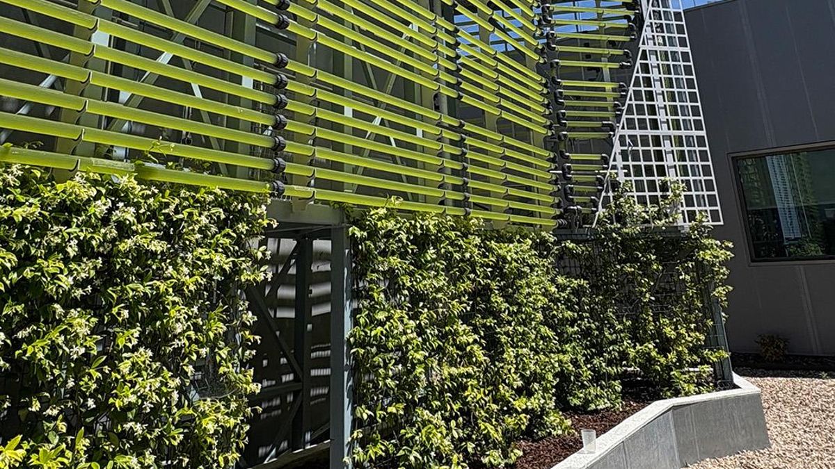 Cómo reconectar la vida urbana con la naturaleza contra la “dinámica depredadora” en las ciudades