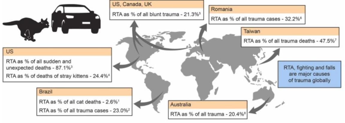 Las principales riesgos son los accidentes de tráfico, las caídas y los ataques de otros animales