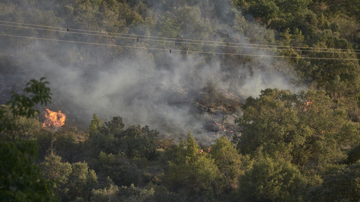 Imagen de uno de los incendios declarados en Navarra el pasado mes de junio.