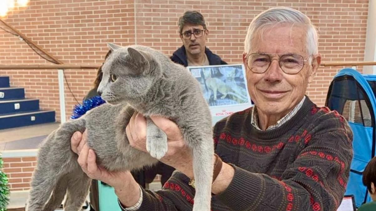El público responde con una notable afluencia en el arranque de la Exposición Internacional Felina en San Andrés