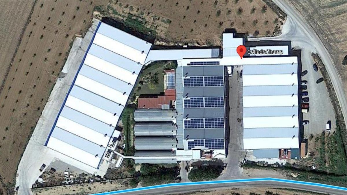 ColladoChamp, en Navas de Jorquera