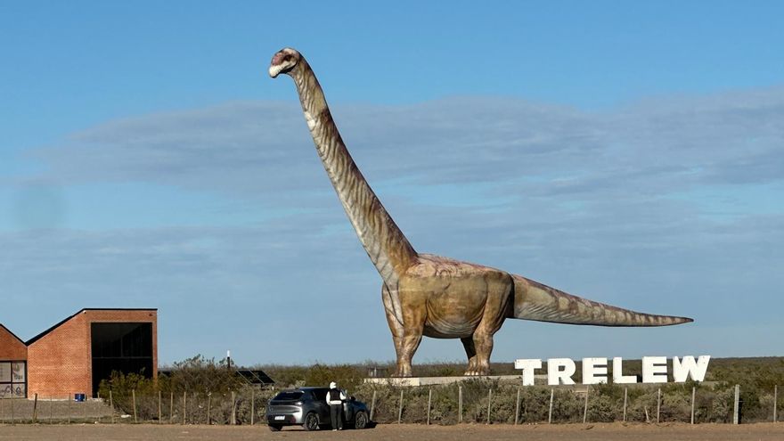 Un fin de invierno en la costa patagónica: El dinosaurio más grande del mundo y un té al estilo galés