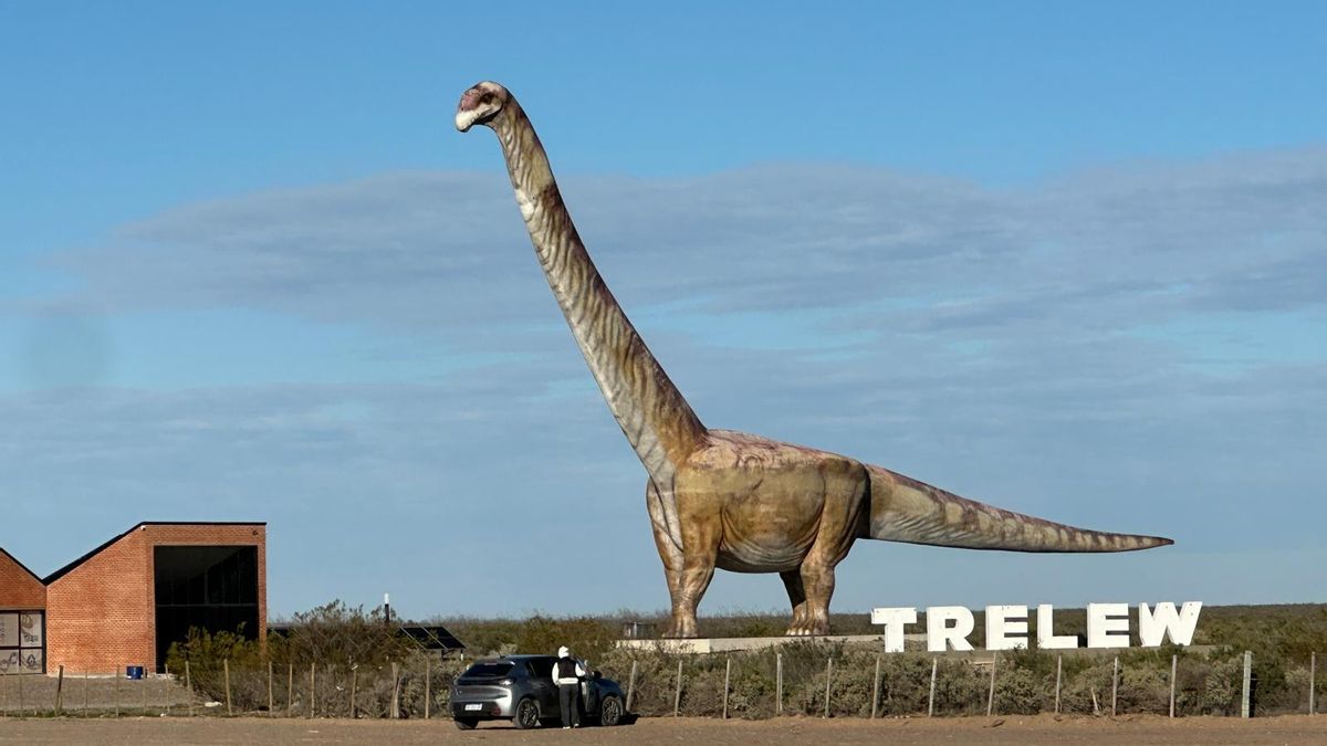 Un fin de invierno en la costa patagónica: El dinosaurio más grande del mundo y un té al estilo galés