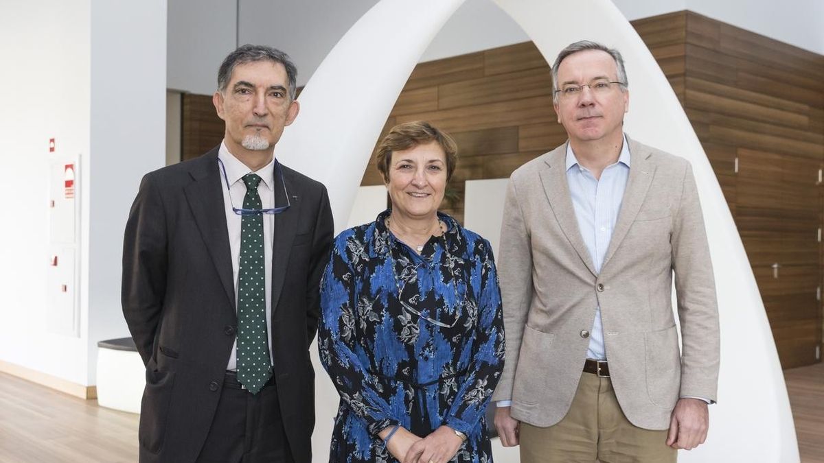 La consejera de Sanidad defiende "reorientar" el sistema sanitario hacia los enfermos crónicos