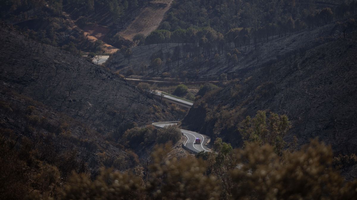 El incendio de Niebla, el mayor de la historia de Andalucía, queda estabilizado tras más de una semana fuera de control