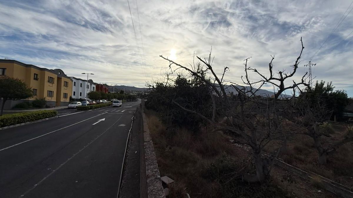El Ayuntamiento de Los Llanos de Aridane recupera más de 55.000 metros cuadrados de suelo para construir viviendas