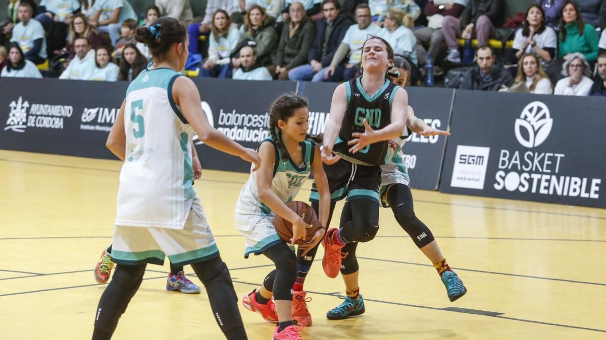 Campeonato de Andalucía A8 mini femenino de selecciones provinciales