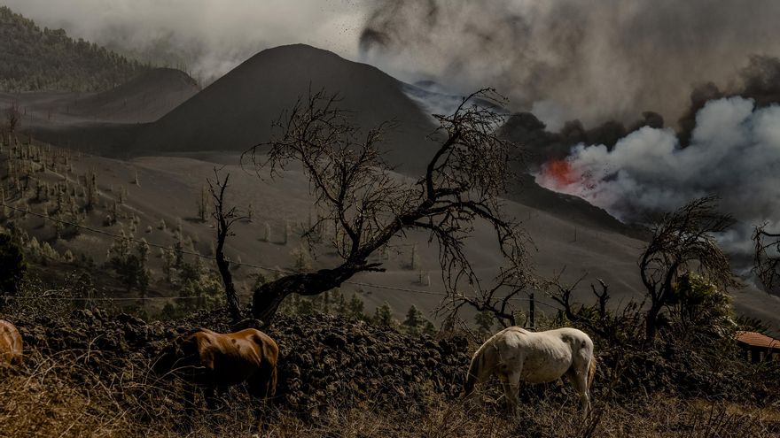 El volcán ruge en la cumbre de La Palma, emanando lava y cenizas en su undécimo día de erupción