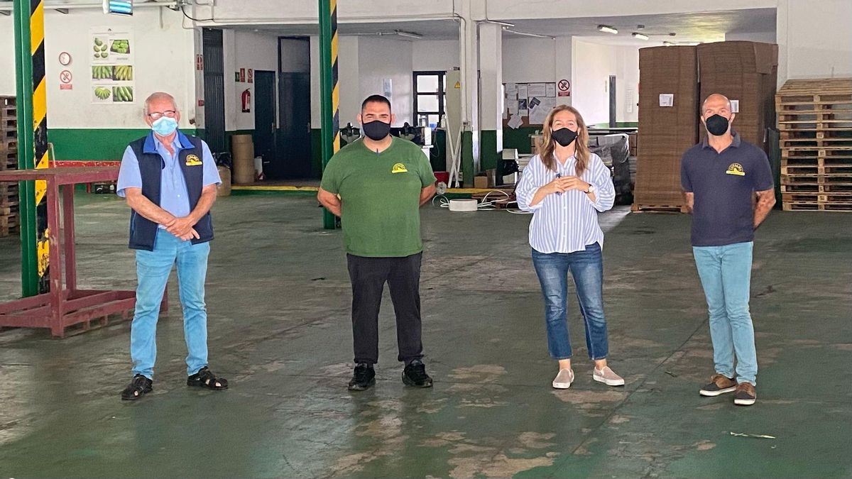 La concejal responsable del festival ‘Enoritmos’, Celia Santos, ha mantenido un encuentro con los responsables de la cooperativa platanera Cupalma.