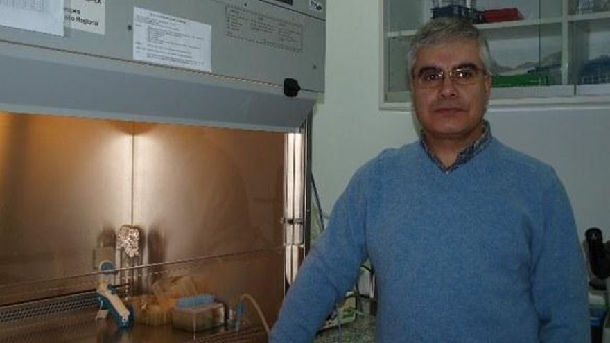 Pedro Fernández Salguero, actual vicerrector de Investigación, único candidato a rector de la UEx