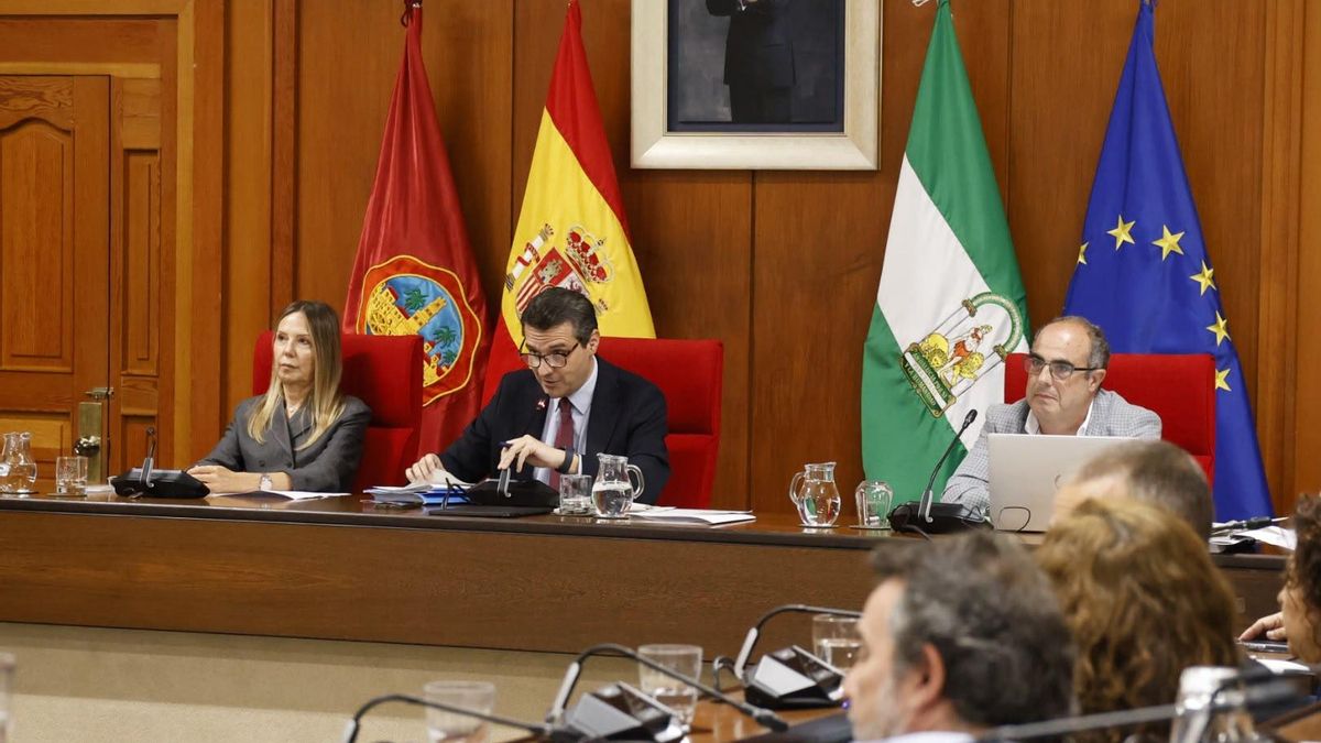 Pleno del Ayuntamiento de Córdoba.