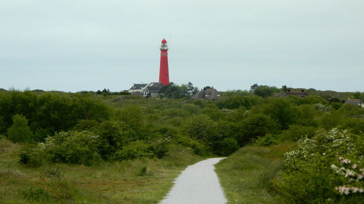 Faro en Schiermonnikoog. Las dunas marcan el paisaje de esta isla de las Frisias occidentales.