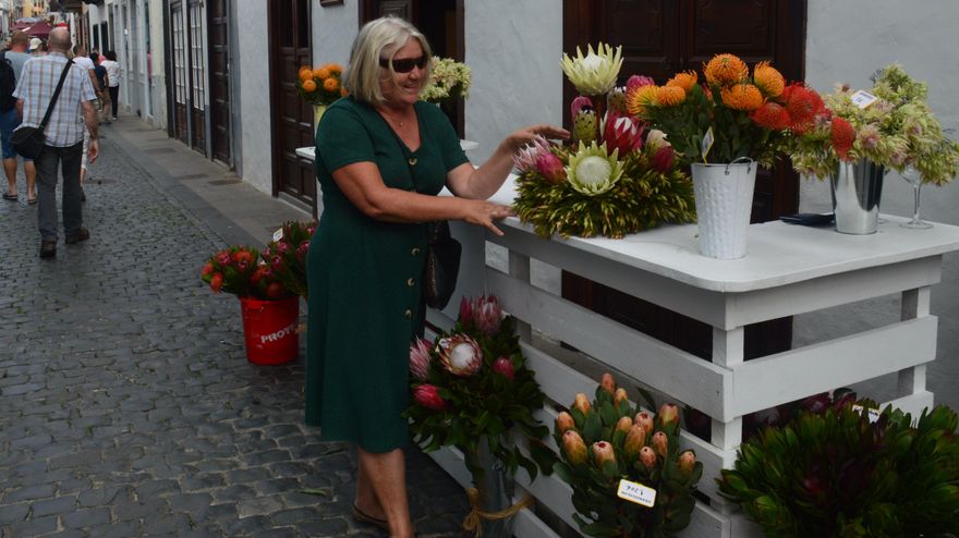 ‘La Palma es primavera’ vuelve por Navidad a Santa Cruz de La Palma