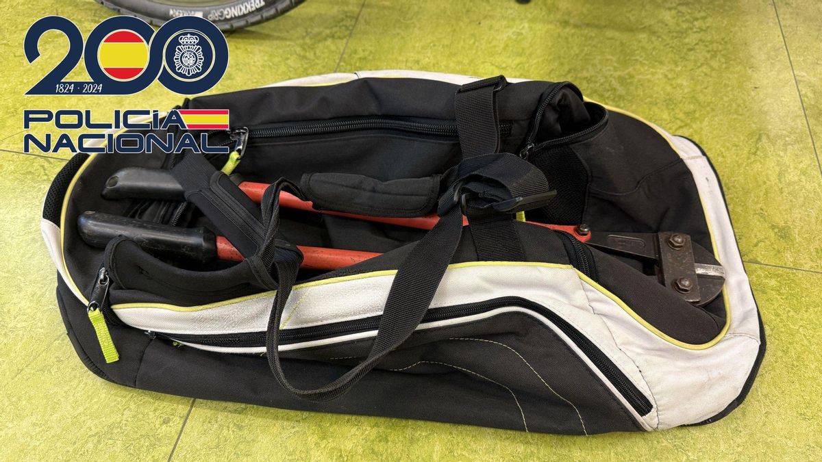 Útiles incautados al detenido por robos con fuerza en Logroño